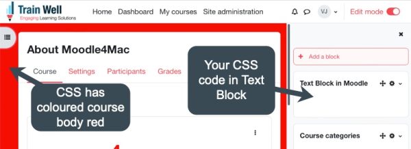 Moodle CSS in Text Block Works